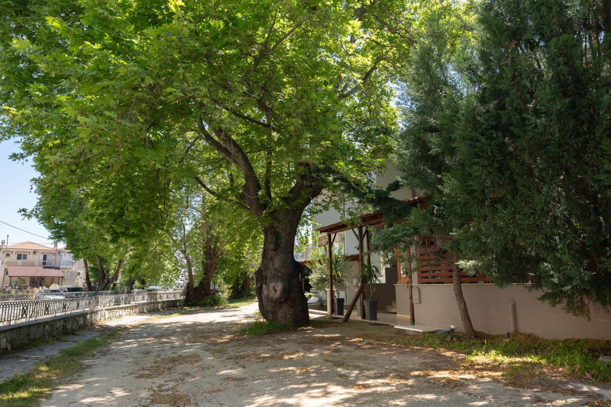 Kipos Resort Néa Péramos Bagian luar foto